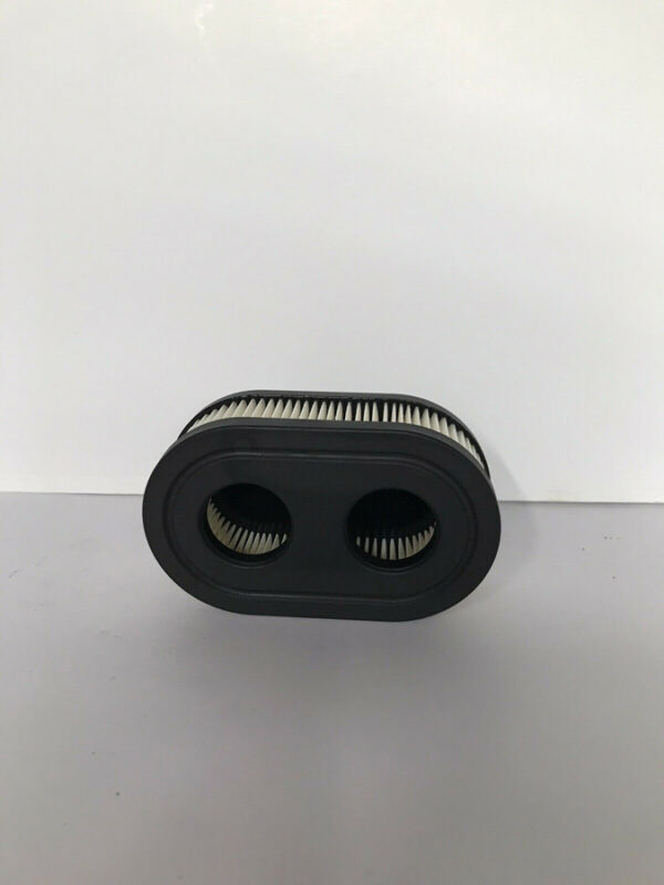 Briggs & Stratton 79845 (550/550E/550EX/575EX) Engine