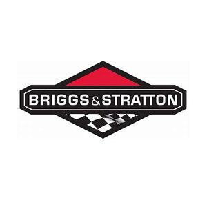 Briggs & Stratton